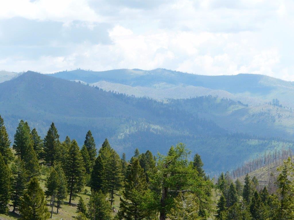 Northwest National Real Estate NEW LISTING! 360 Mountain Acres