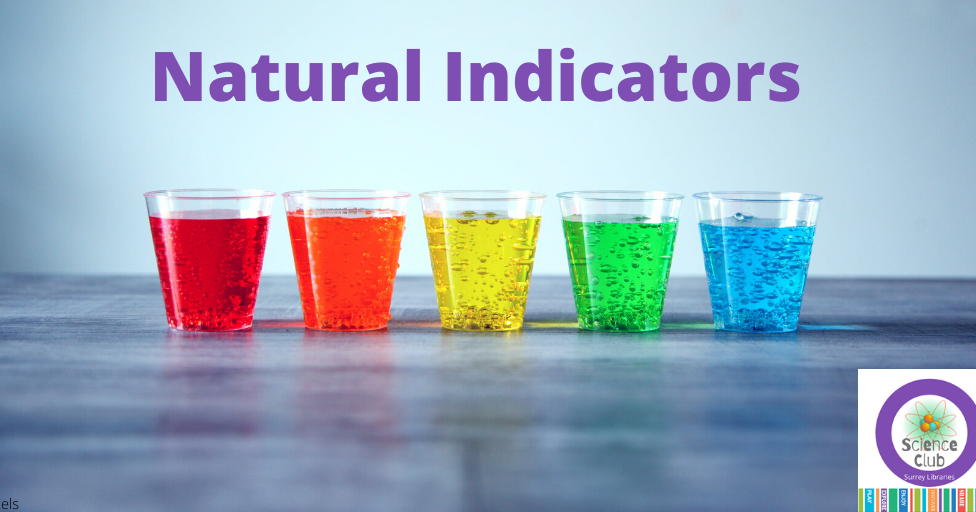 Surrey Library Lab Natural Indicators
