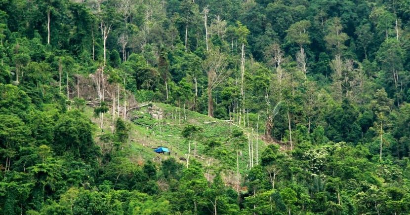 Komunitas Blogger PELAJAR: Potensi Sumber Daya Alam Dan Kemaritiman