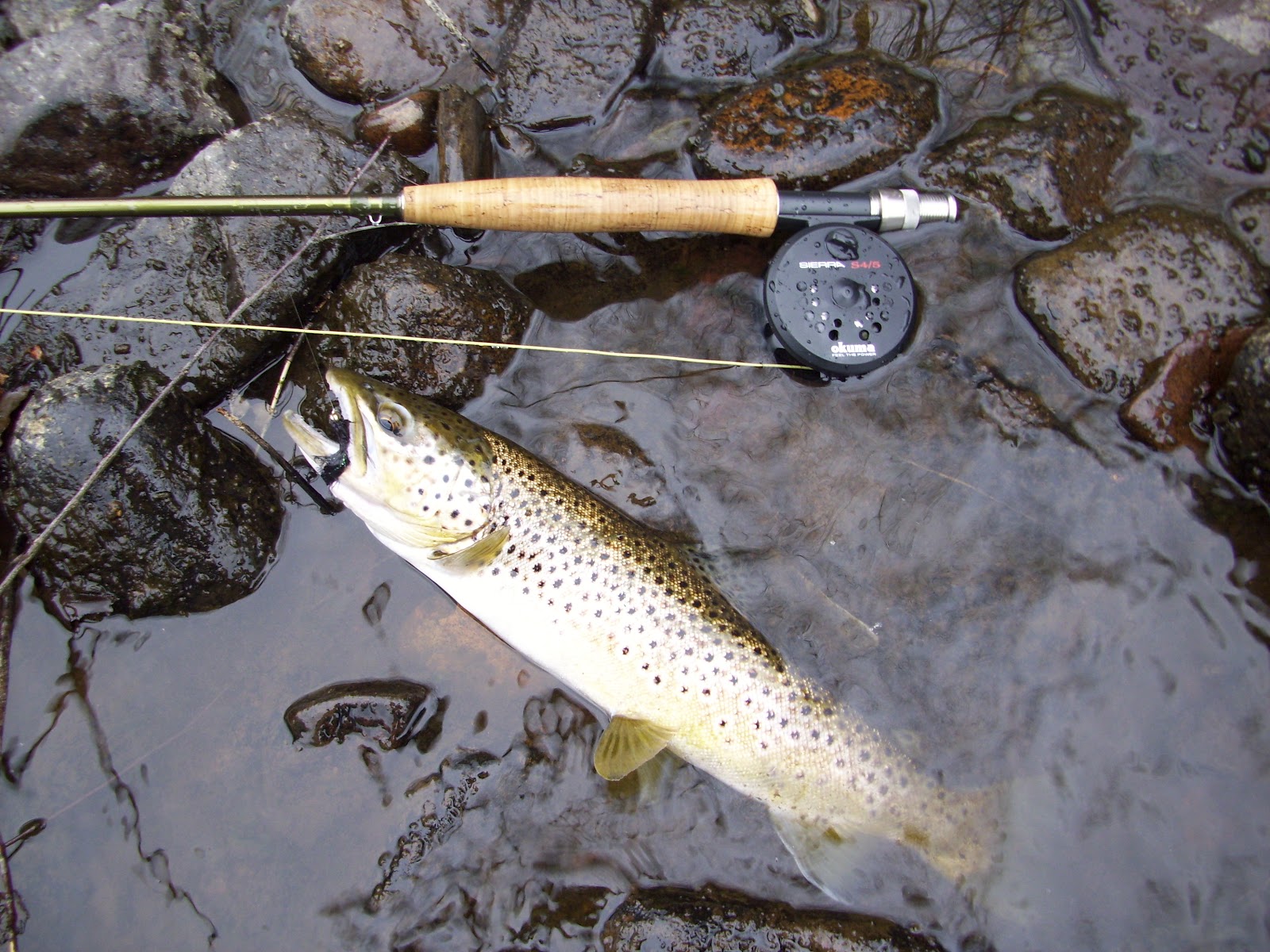 Pocono Fly Fishing Lehigh River, Carbon County PA March 24 2012