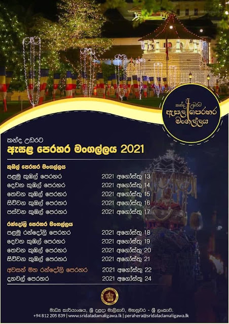 අභිමානයක් වූ - නැදුන්ගමුවේ රාජා ඇතා 🐘🐘🙏 (Nadungamuwe Raja Atha) - Your Choice Way