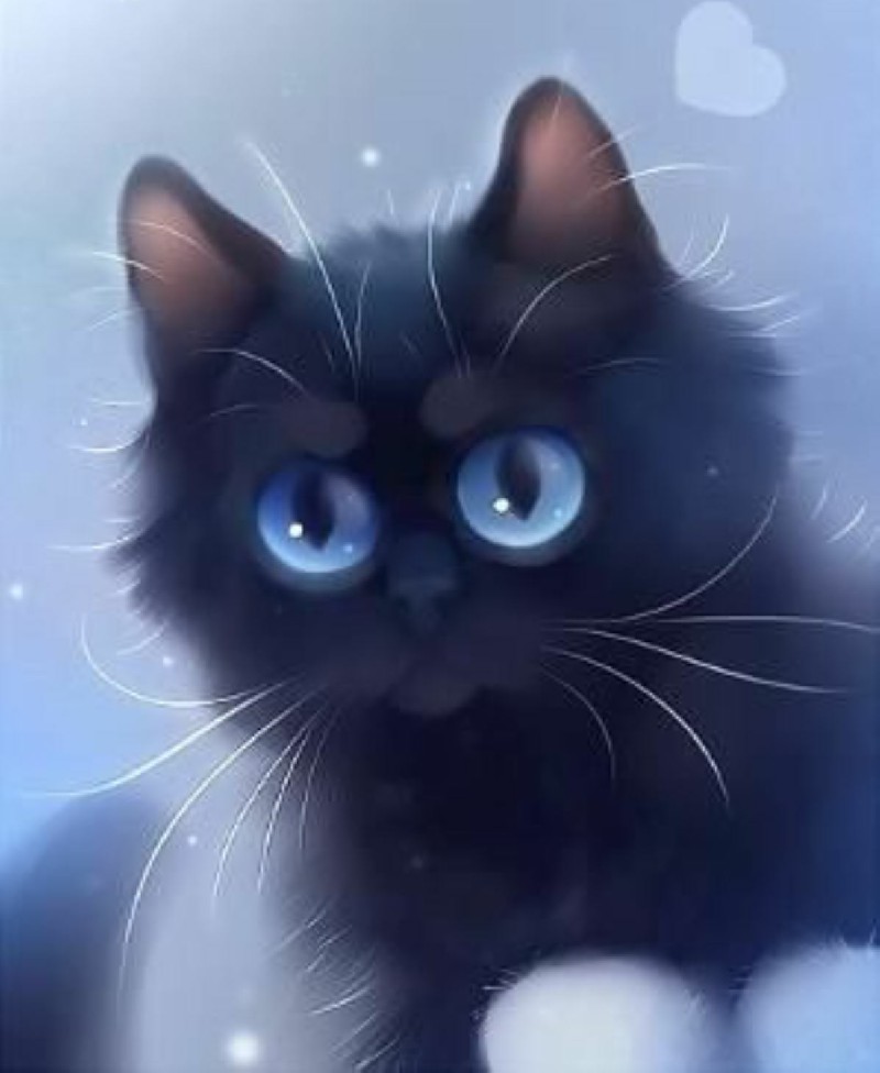 Hình vẽ cách vẽ mèo đẹp anime cute đáng yêu đơn giản