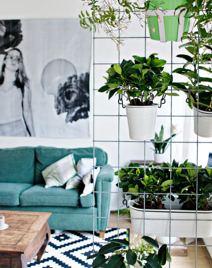 Diy jardin vertical para interior