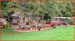 chicken backyard chickens fighting chick garden legalize yard regulation flock town focus friday farm commentary proposed backyards autumn england face