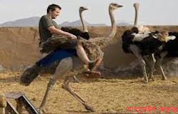 ডানা থাকা সত্ত্বেও যে পাখিগুলো উড়তে পারে না। The birds can not fly despi Top Bangla Pages