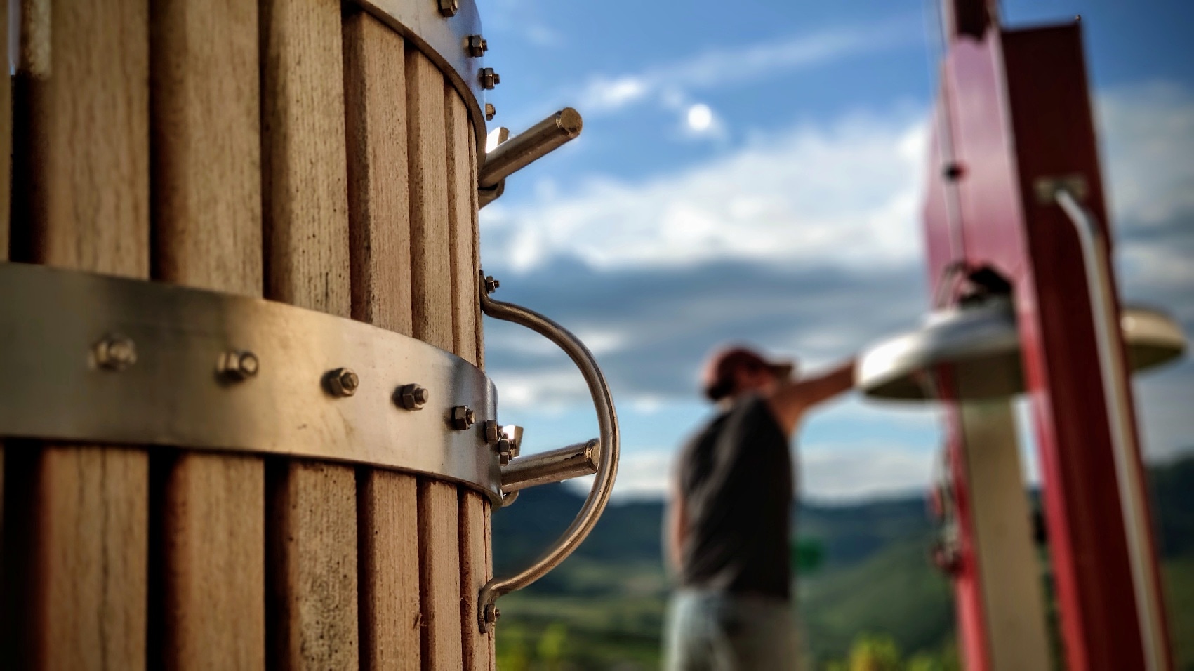 Vineyard & Cellar EN