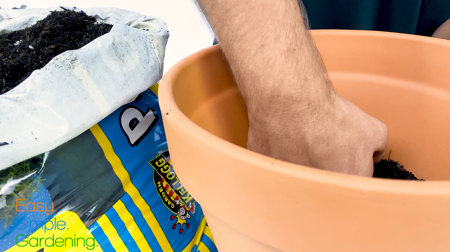 Easy Simple Gardening How to Pot a Plant