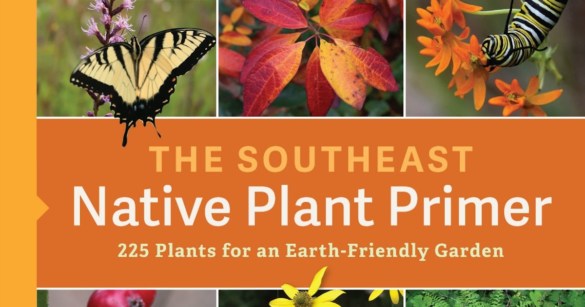 Using Native Plants The Southeast Native Plant Primer (the book)
