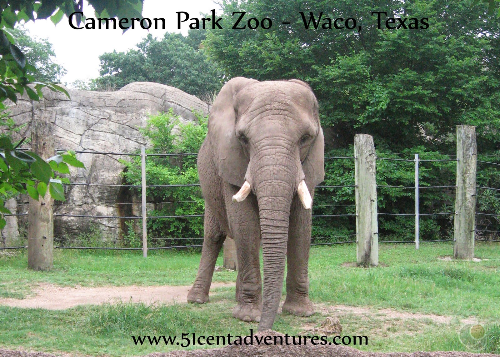 51 Cent Adventures: 30 Things to see and do around Fort Hood, Texas