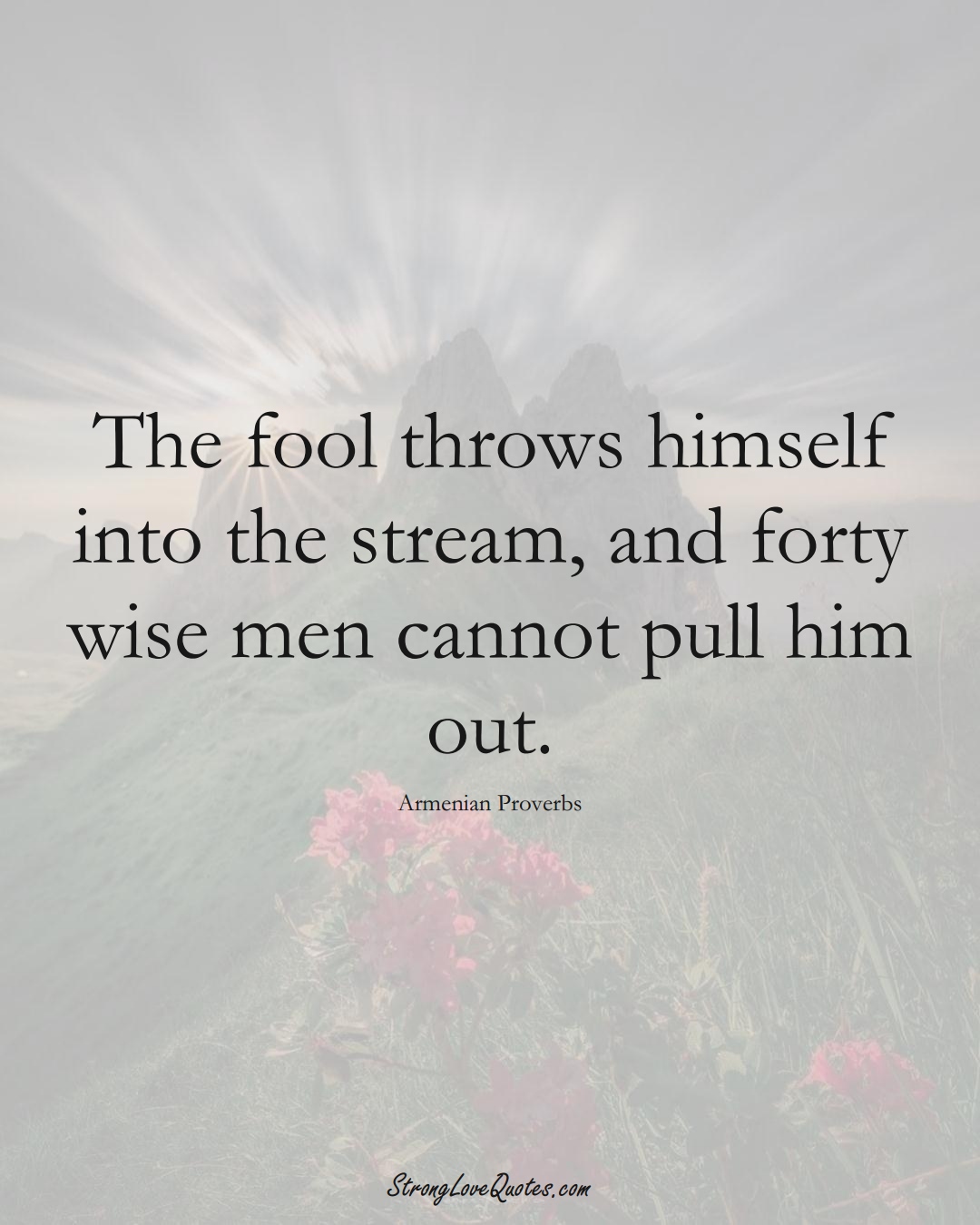 The fool throws himself into the stream, and forty wise men cannot pull him out. (Armenian Sayings);  #AsianSayings