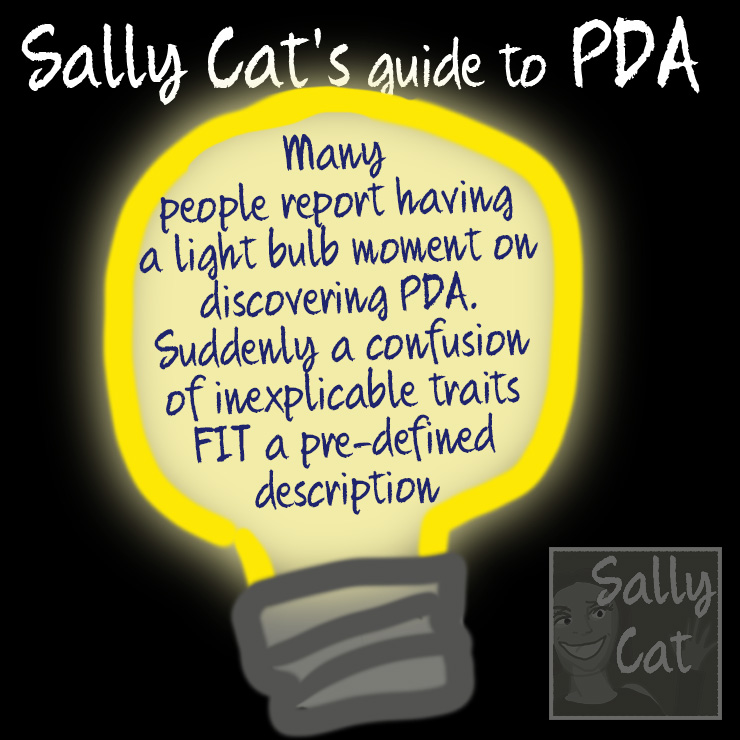 Sally Cat PDA March 2020