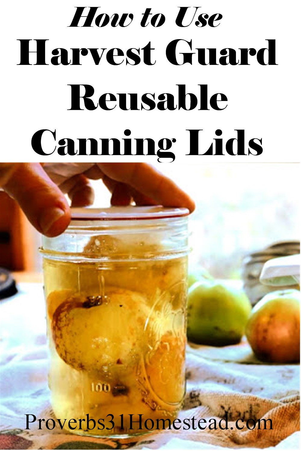 How to Use Harvest Guard Reusable Canning Lids (with Video) Proverbs