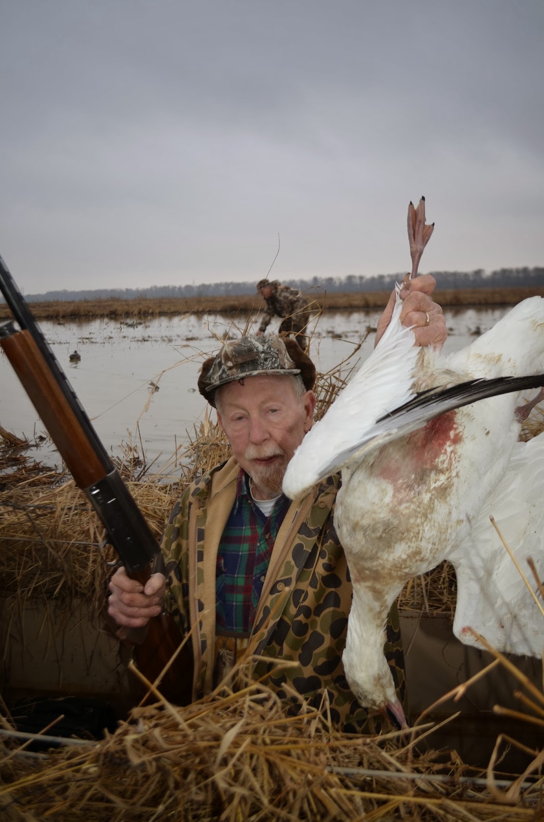 OUTSIDE AGAIN ADVENTURES: Rice Field Ducks