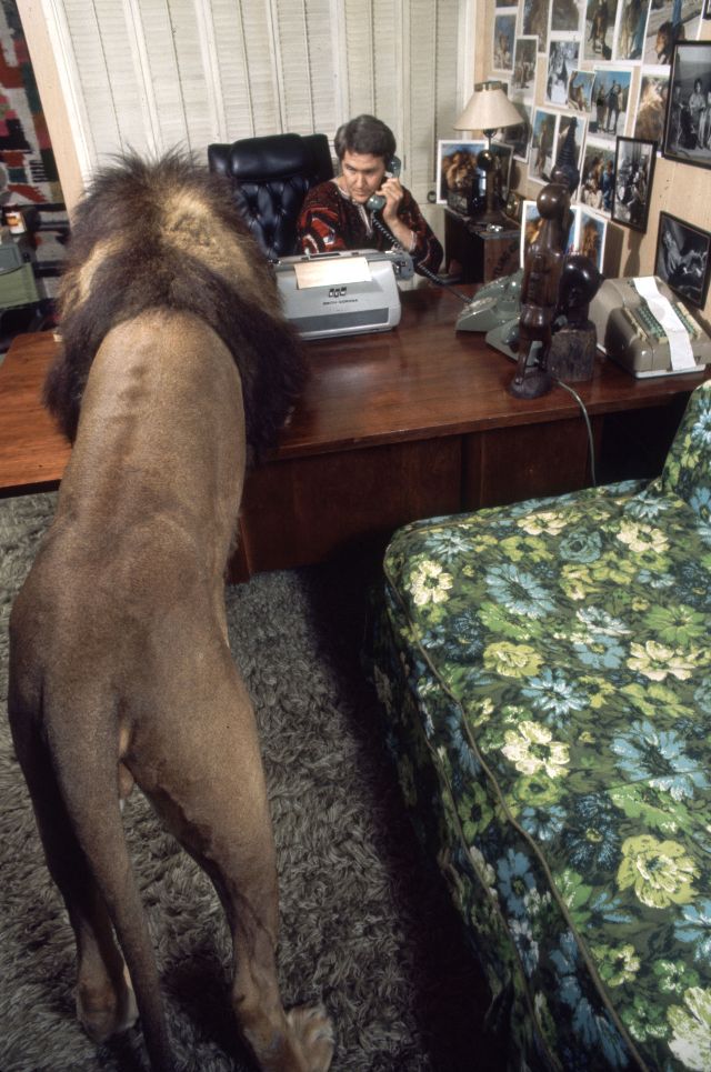 Neil the lion photos Tippi Hedren and Melanie Griffith