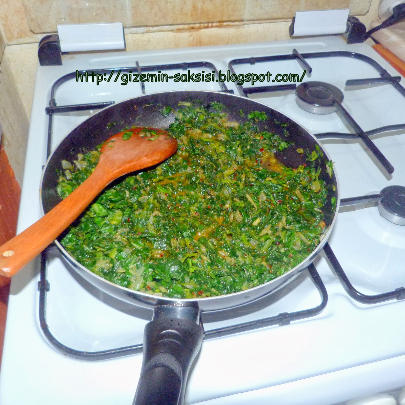 Gizem�in Saksısı Ispanakseverlere Ispanaklı Kol Böreği )