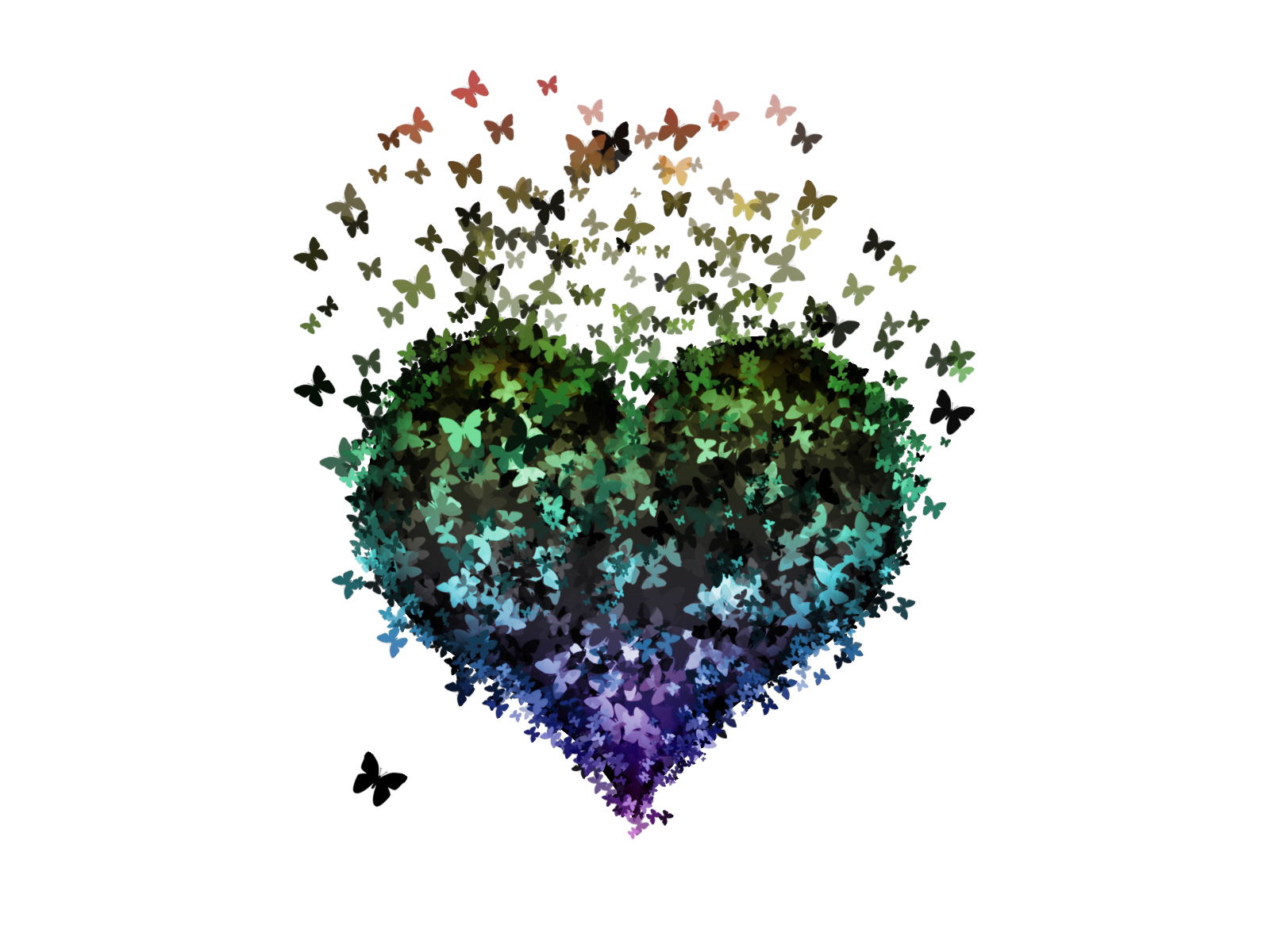 Dndm shape of my heart. Сердце из бабочек. Сердечко из бабочек. Сердечко из бабочек на стену. Бабочки в виде сердца.