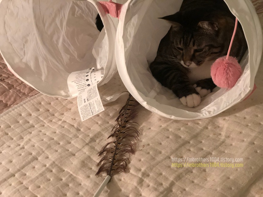 이케아 고양이 루르비그 반려동물용품 IKEA LURVIG for CAT