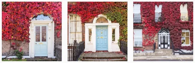 Doors of Dublin Treasure Hunt: #FindDublinDoors_ivy
