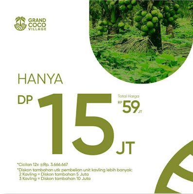 Kavling Kelapa Kebun di Kalimantan - Investasi Kavling Produktif Grand Coco Village KAVLING KELAPA Kebun di Kalimantan - Investasi Kavling Produktif Grand Coco Village