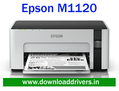 Accept DT5000E Driver Download For Windows Accept DT5000E Driver Download For Windows