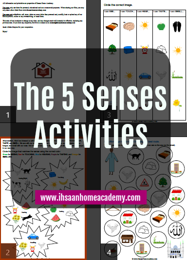 FREE Mini 5 Senses Activity Pack for Preschool and Kindergarten