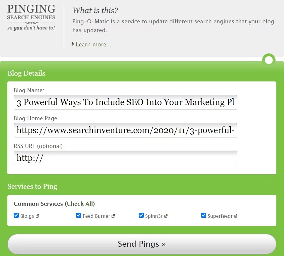 ping website