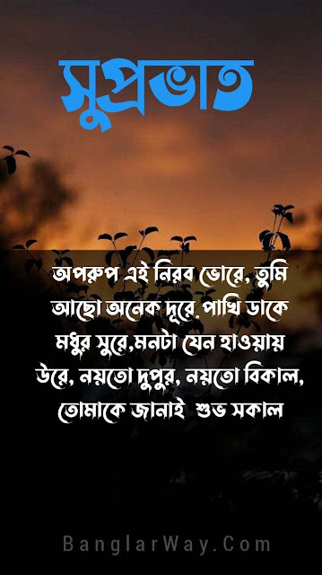 Bangla suprovat image