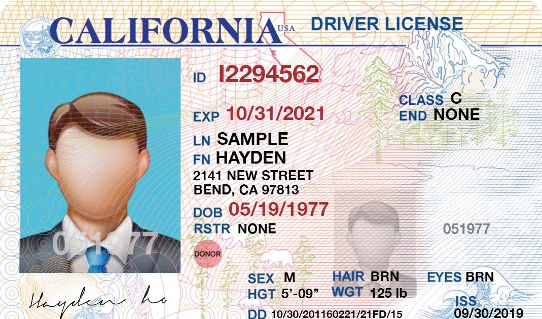 California License Template Photoshop Paltop