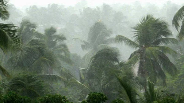 Thiruvananthapuram, News, Kerala, Rain, Alerts, Heavy rain in Kerala on coming days: Weather report