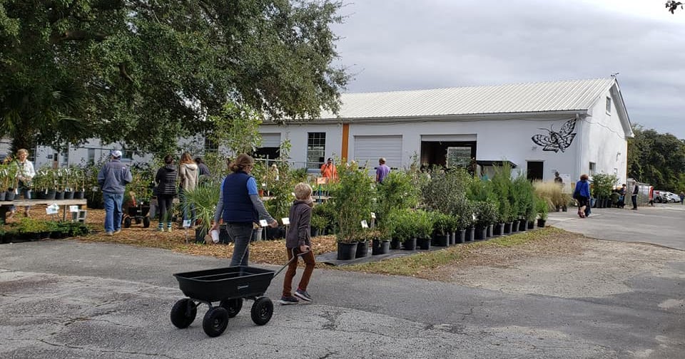 Charleston Daily Photo Roots & Shoots Native Plant Nursery opens