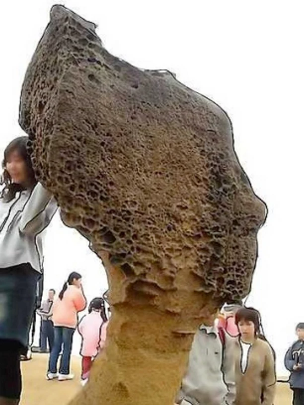 野柳地質公園|野柳風景特定區|北海岸一日遊|新北萬里景點
