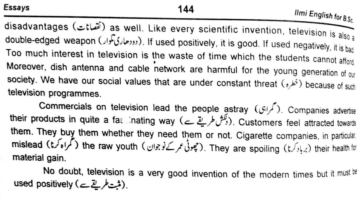Television essays