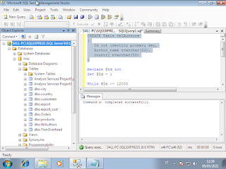 Sql Server Administration . How to create a big table with script t-sql.