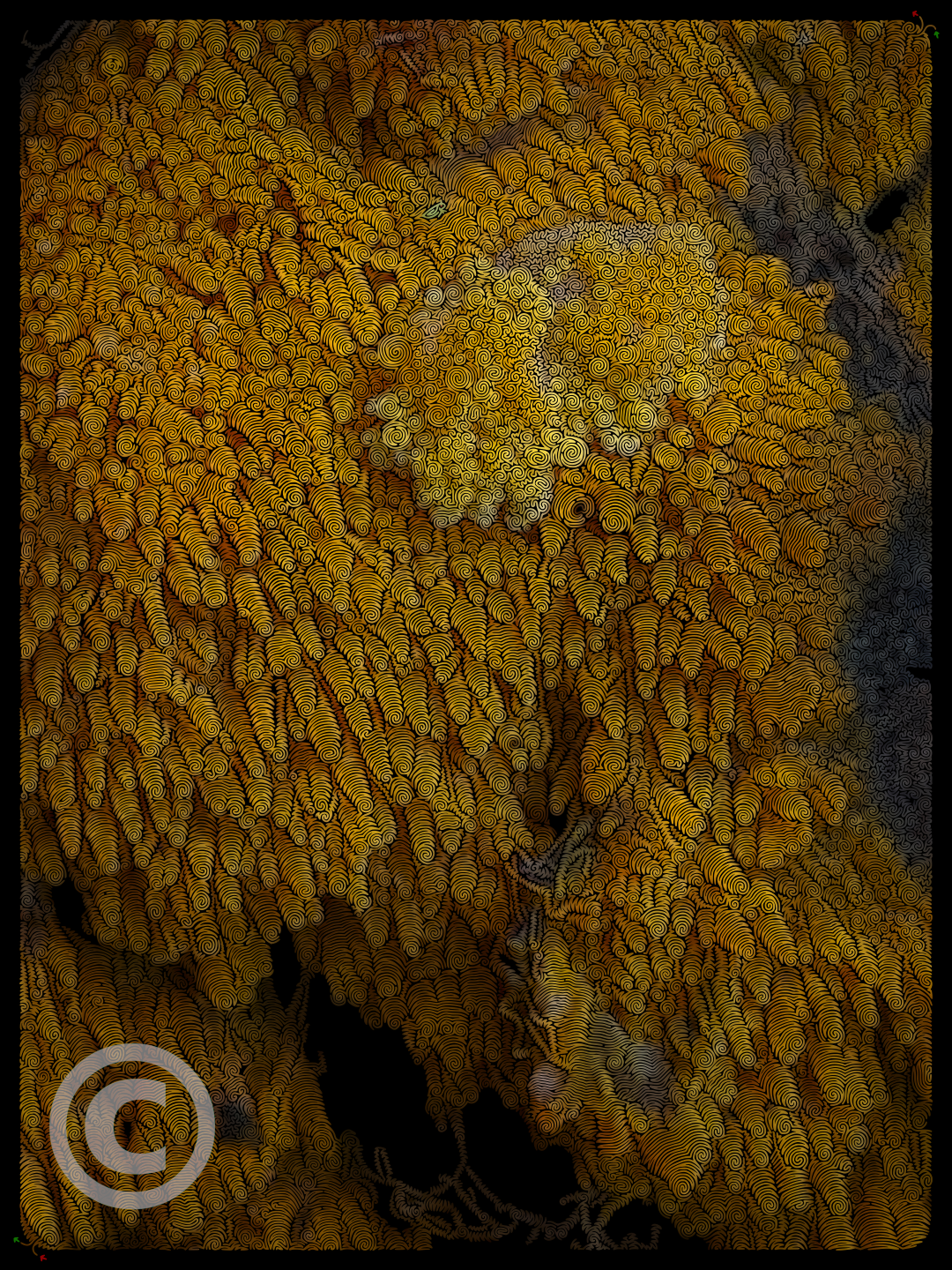 0066 Slime Mold Maze