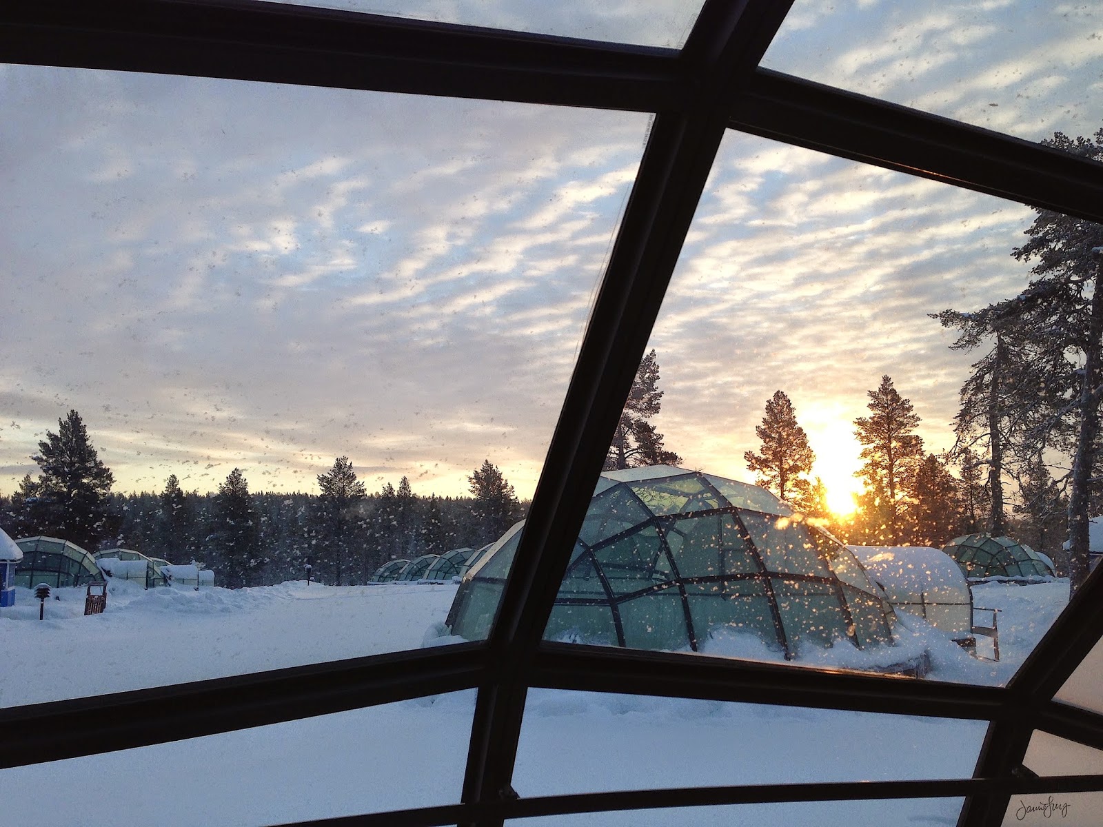 Jamie Amazing Northern Lights at the Glass Igloo Village
