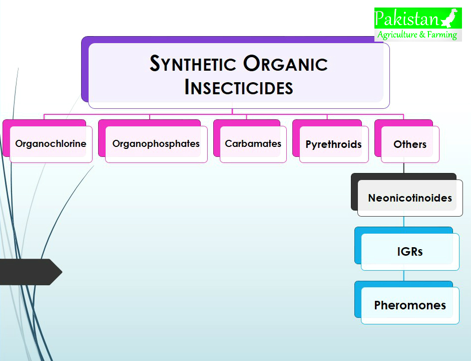 Intro and Classification of Synthetic Organic Insecticides