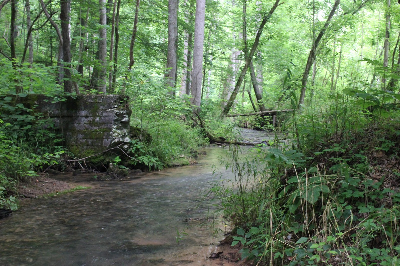 Cumberland Gal Cotton Road and Paddling the Calf Killer River