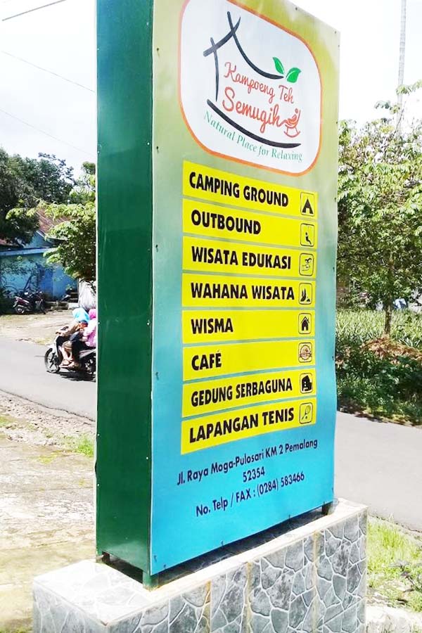 Kebun Teh Pemalang Destinasi Wisata Kampoeng Teh Semugih Yang Wajib Dikunjungi