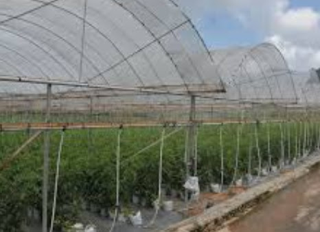 Anim Agro Technology Jenis Dan Sistem Pertanian Di Malaysia