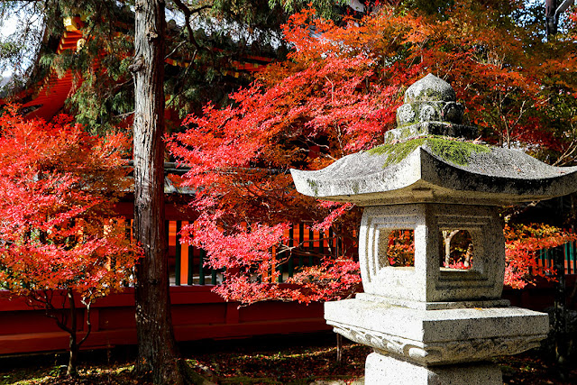 19 紅葉の京都 二 毘沙門堂と永観堂紅葉見頃