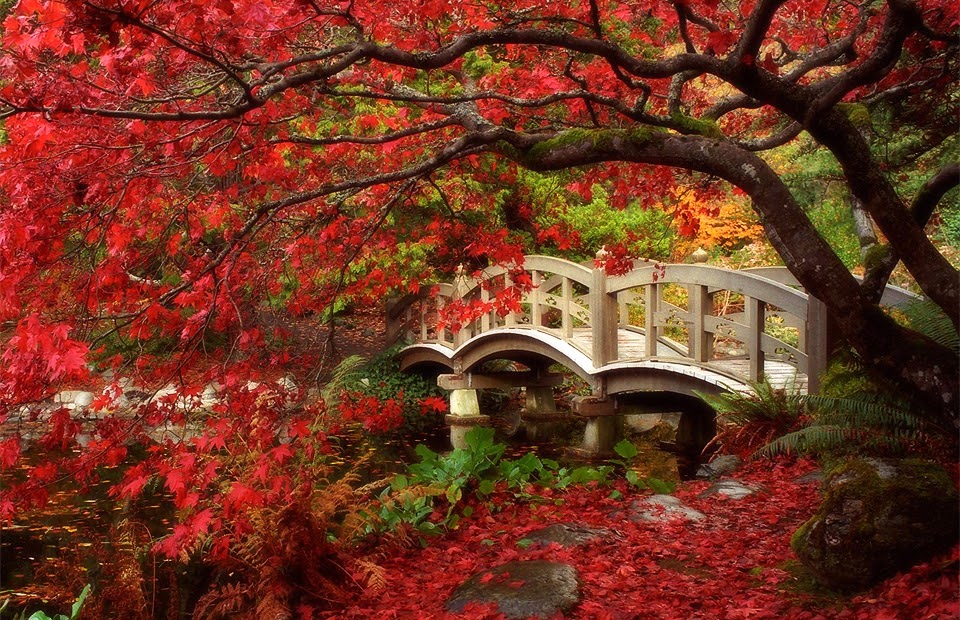 Hindi Motivational Quotes | HD Wallpapers | Windows 8 Wallpapers | Love