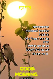 Good morning wishes hindi & Quotes hindi 2021 | good morning thought in hindi images गुड मॉर्निंग मैसेज इन हिंदी