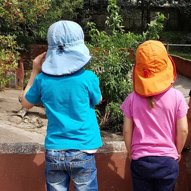 Pippi Langstrumpf, Kunst für Kinder und ein Besuch im Zoo: Ein toller Tag in und um Vejen. Gerade für kleine Kinder gibt es im Glad Zoo viel zu sehen.