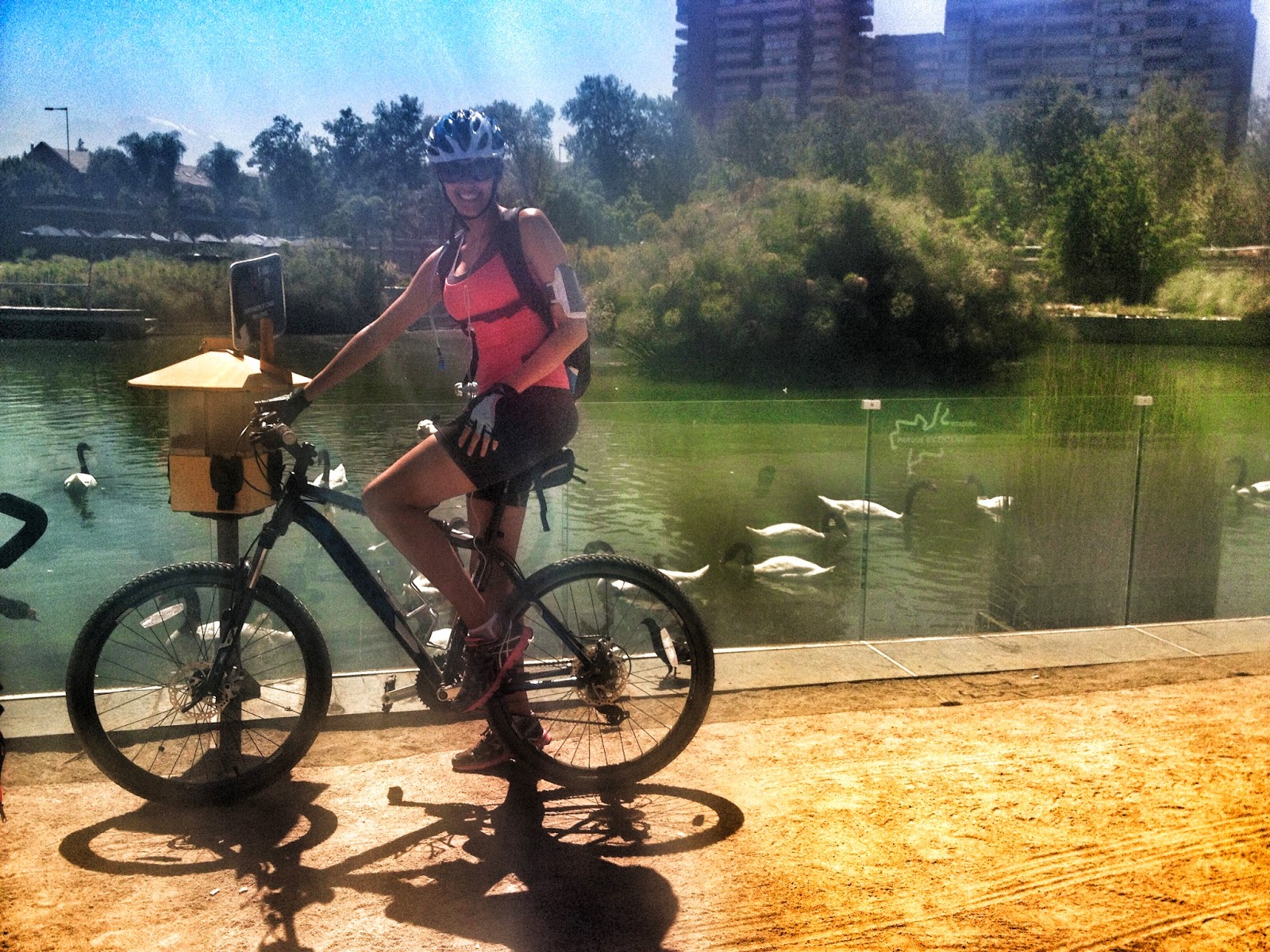 Lorena Delgado Un poco de mi Historia y del por qué estoy aquí...