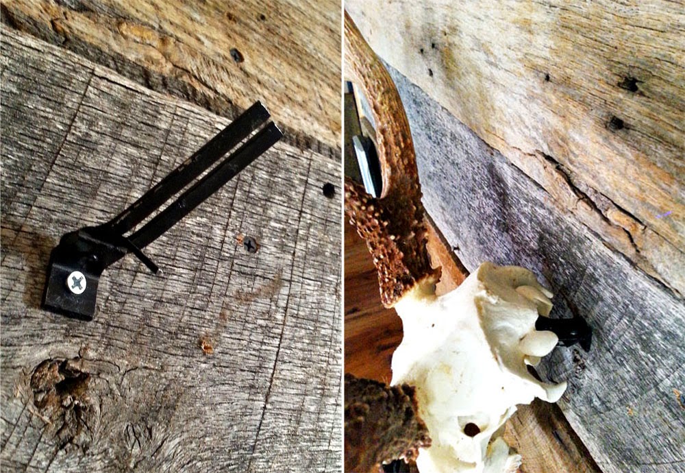 Huntress View The Head Hanger by Heads of State