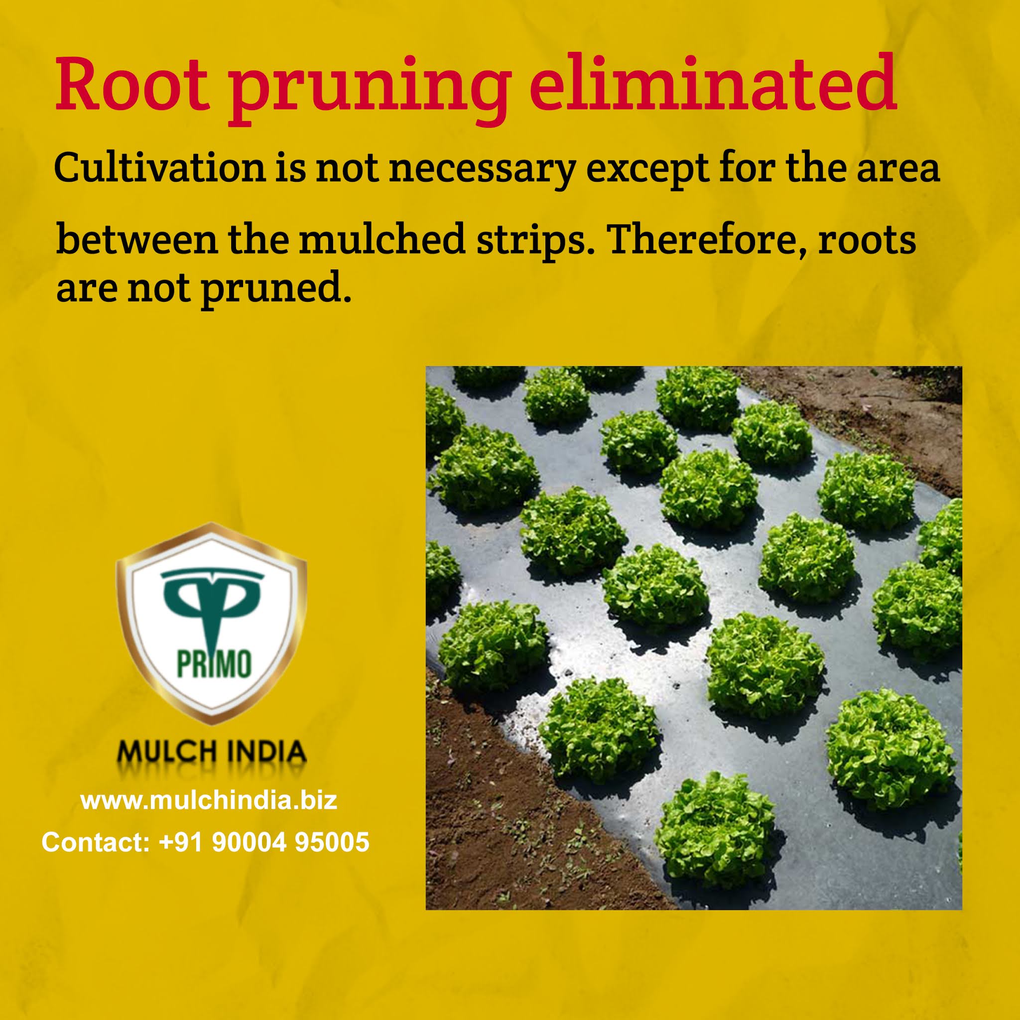 MulchIndia Root pruning eliminated Mulch India Call+𝟵𝟭 𝟵𝟬𝟬𝟬𝟰𝟵𝟱𝟬𝟬𝟱