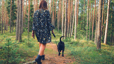 Male Dog Names for Different Breeds- 300+ Boy Puppy Name Ideas