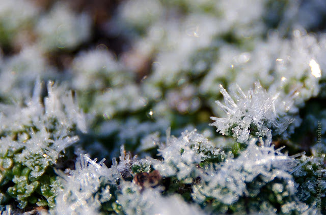 frost ice crystals sparkle twinkle bokeh