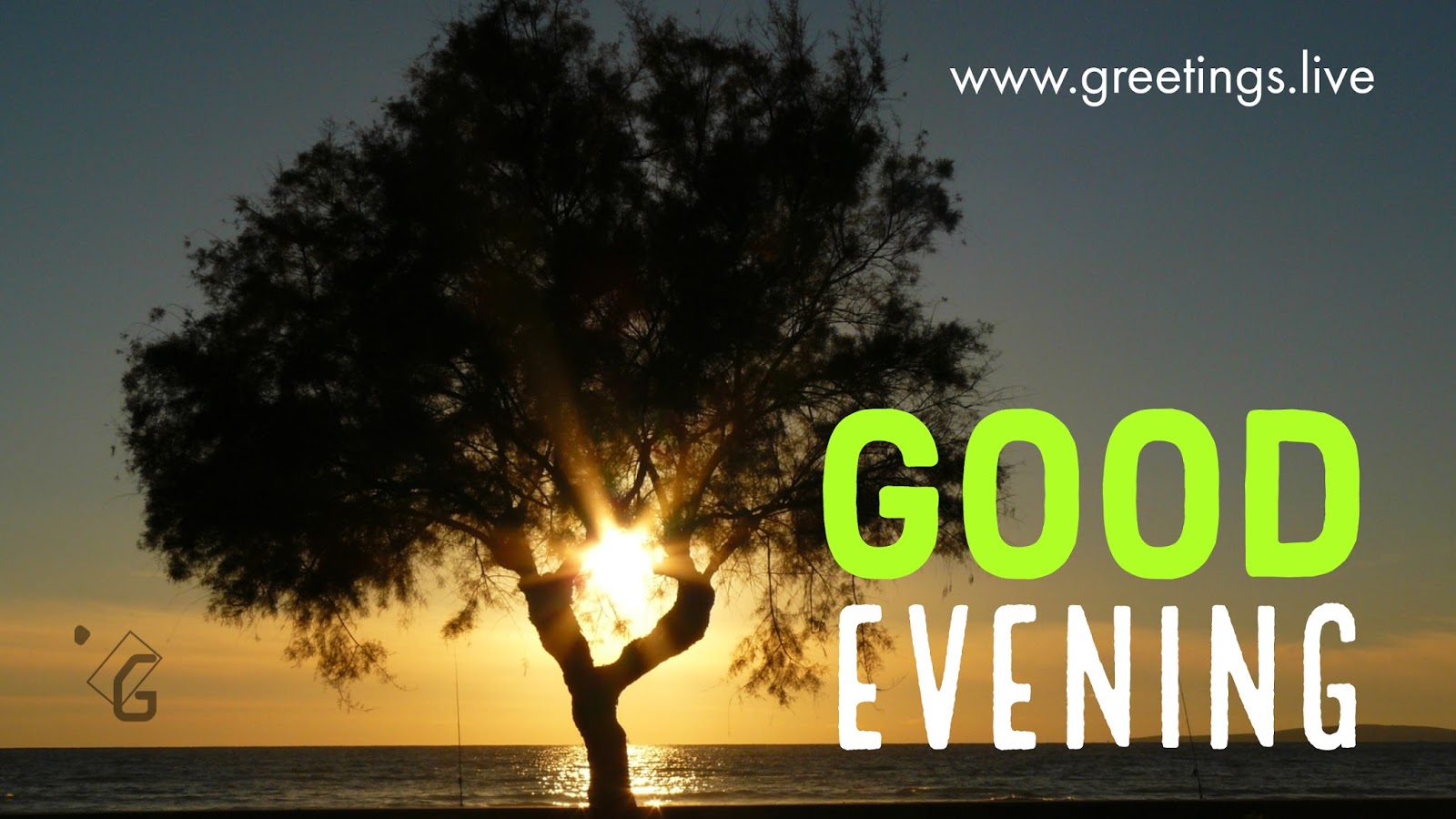 evening greetings daily wishes