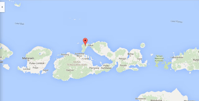 Где находятся комодские острова How to reach Komodo Island - Comodo Island